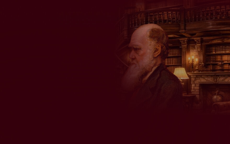 Второй Уровень Образовательной Программы